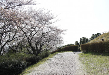 機神山織姫山の山頂にあり、全長36m以上の2弾築成の前方後円墳です、後円部の南に開口する横穴式石室をがあります。発掘調査の結果、2段目斜面に山石の葺石があることが確認されました、円筒埴輪群が確認されました。